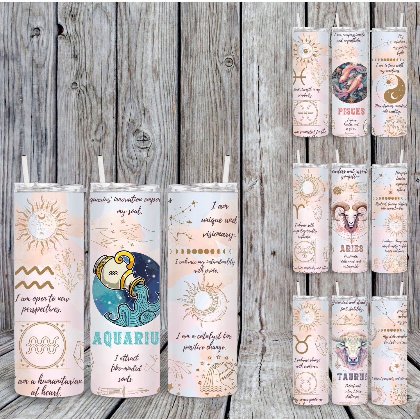 ALL 12 Zodiac Sign Affirmation Tumblers